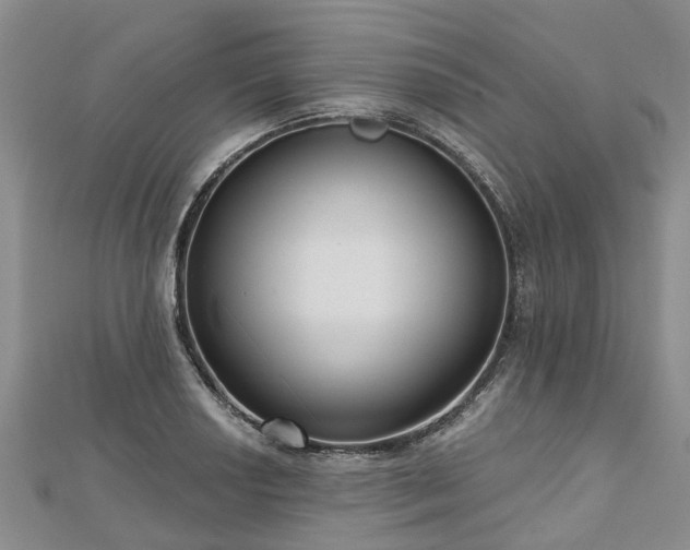 X0000112481034200908241250