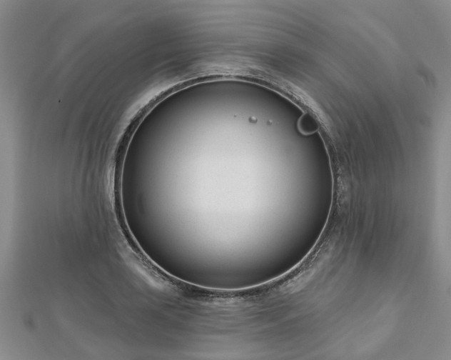 X0000112481035200908241250