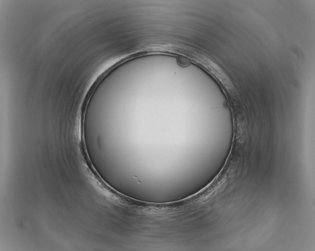 X0000112481036200908241250