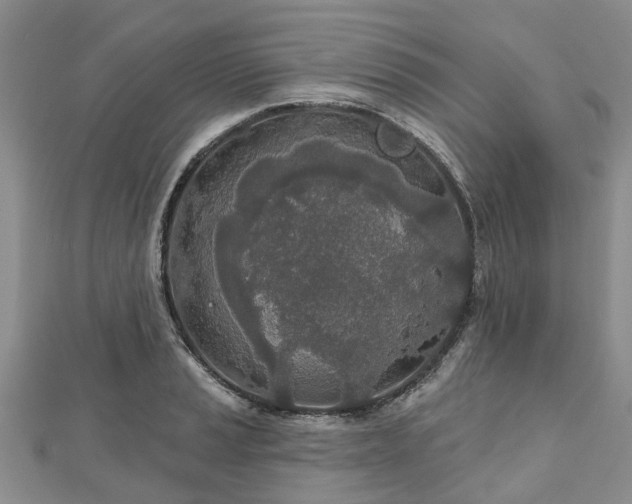 X0000112481037200908241250