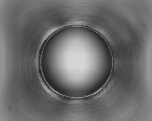 X0000112481038200908241250