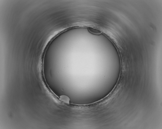 X0000112481040200908241250