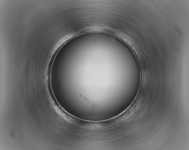 X0000112481042200908241250