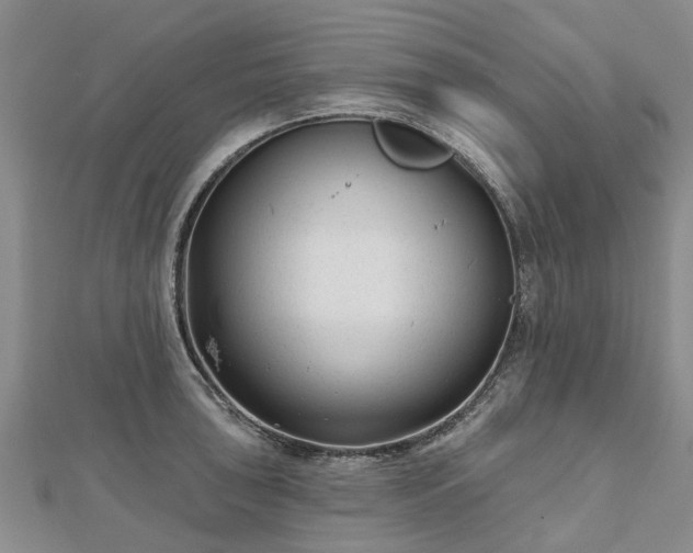 X0000112481043200908241250