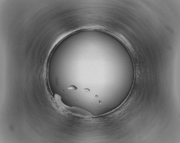 X0000112481044200908241250