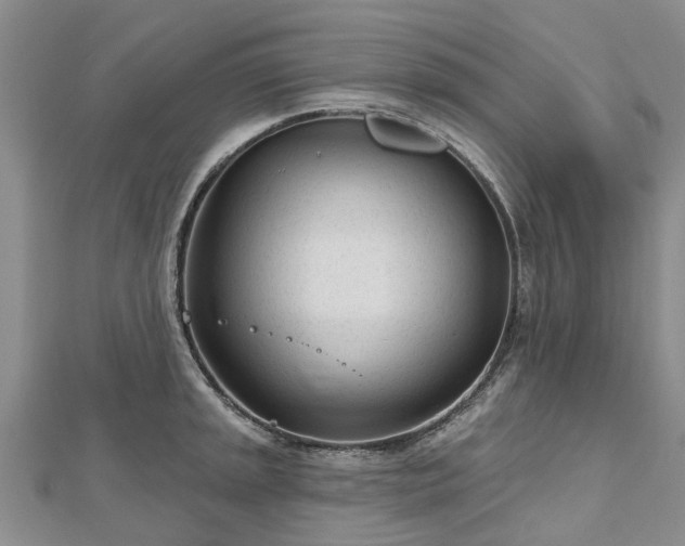 X0000112481045200908241250