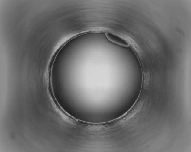X0000112481046200908241250