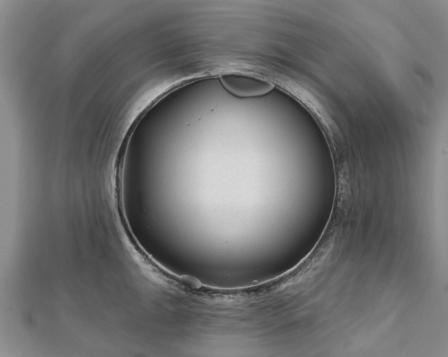 X0000112481047200908241250