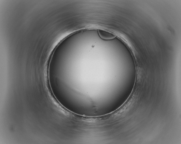 X0000112481048200908241250