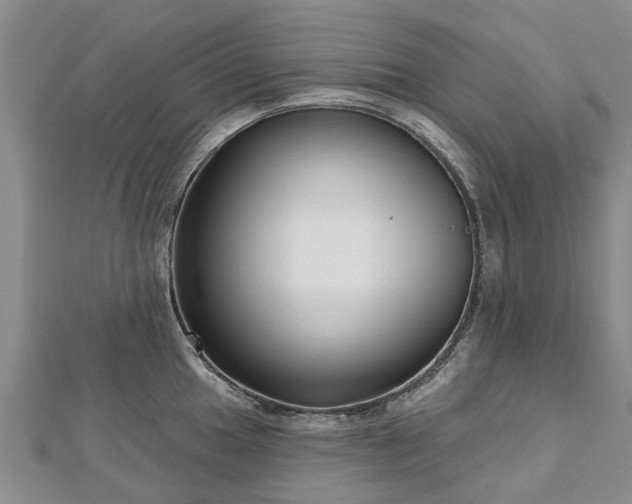 X0000112481049200908241250