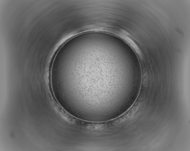 X0000112481051200908241250