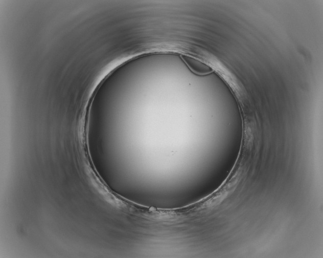 X0000112481052200908241250