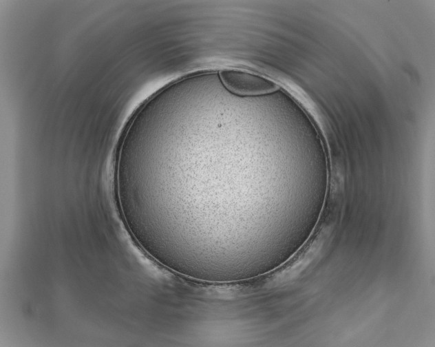 X0000112481053200908241250