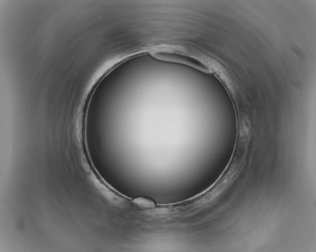 X0000112481054200908241250