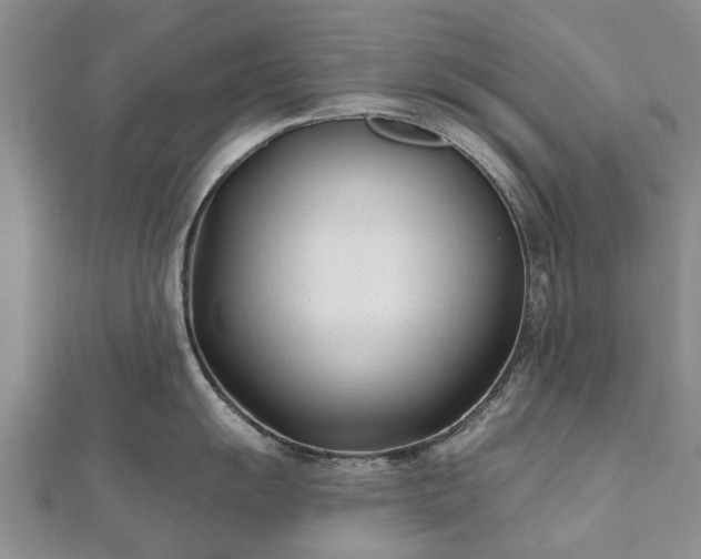 X0000112481055200908241250