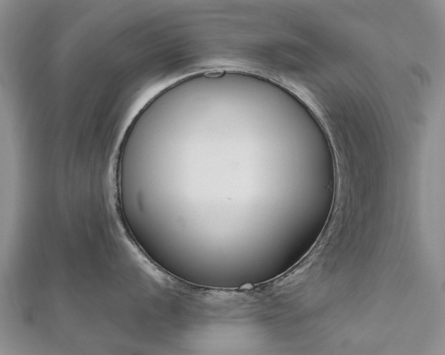 X0000112481056200908241250