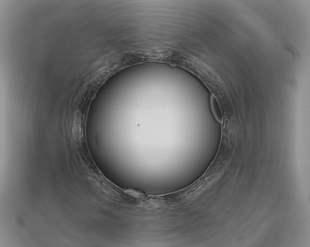 X0000112481058200908241250