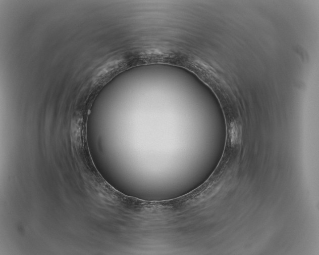 X0000112481059200908241249