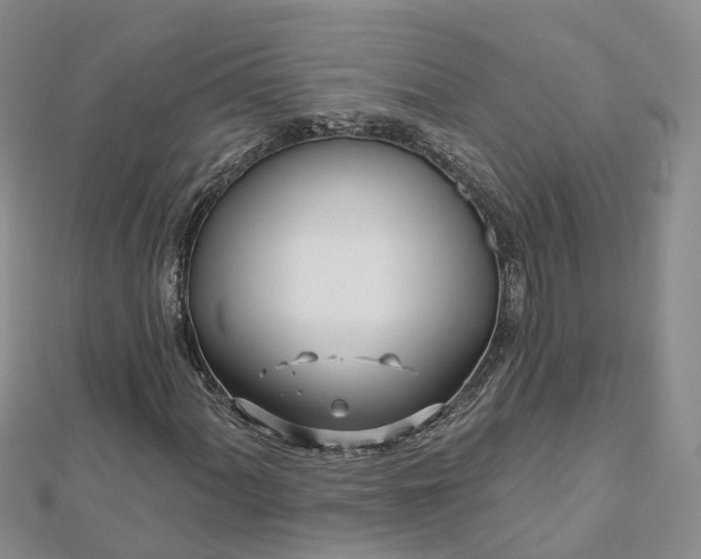 X0000112481060200908241249