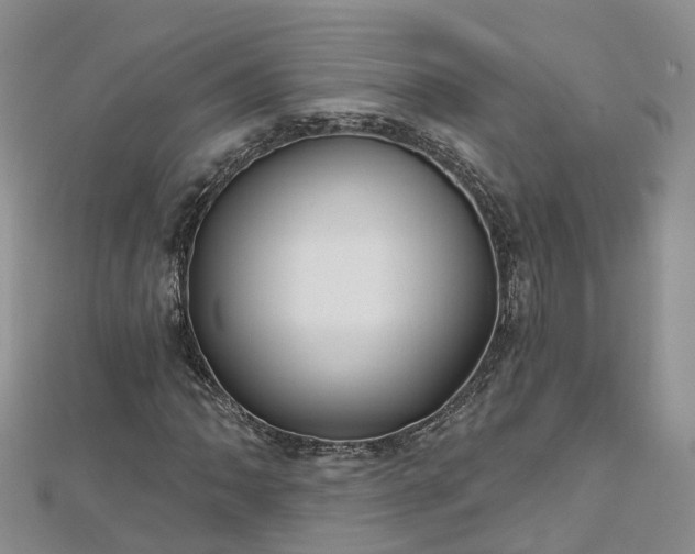 X0000112481062200908241249