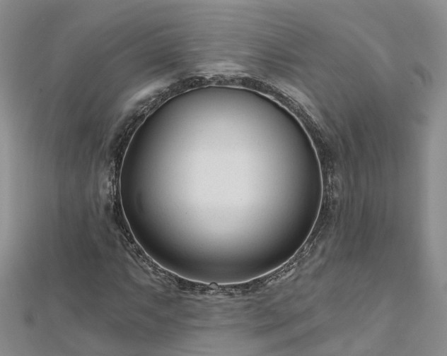 X0000112481063200908241249