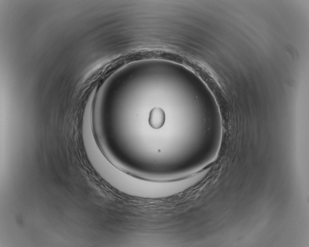 X0000112481064200908241249