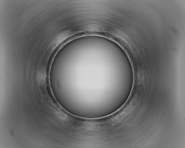 X0000112481065200908241249