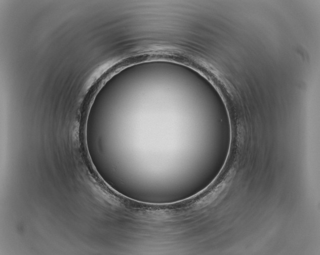 X0000112481066200908241249