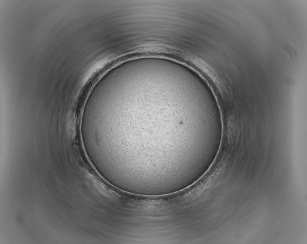 X0000112481067200908241249