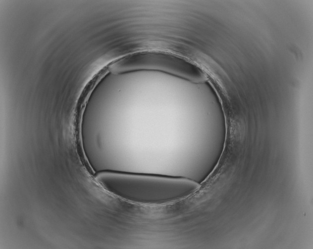 X0000112481068200908241249