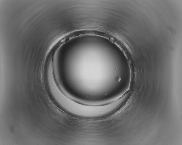X0000112481069200908241249
