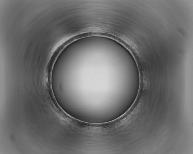 X0000112481070200908241249
