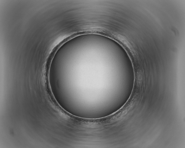 X0000112481071200908241249