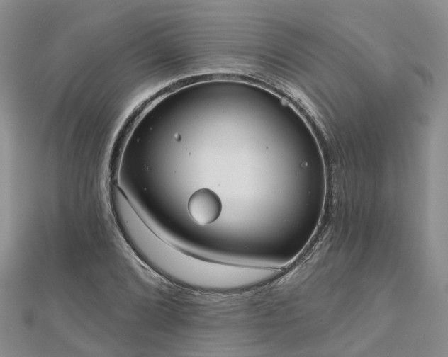 X0000112481072200908241249