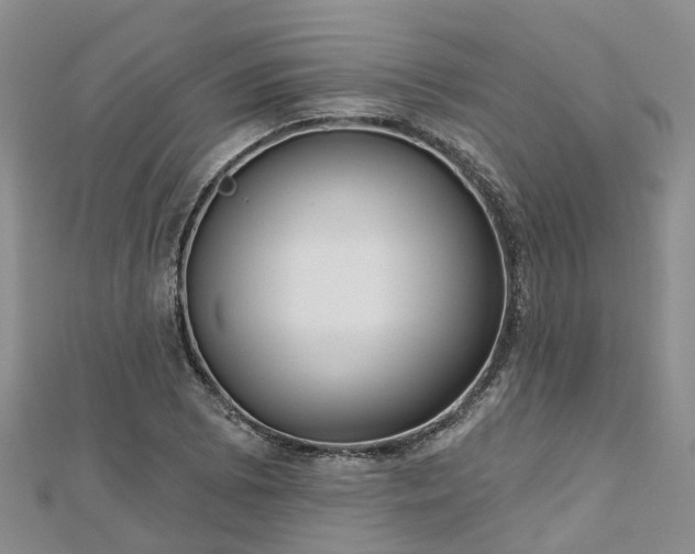 X0000112481073200908241249