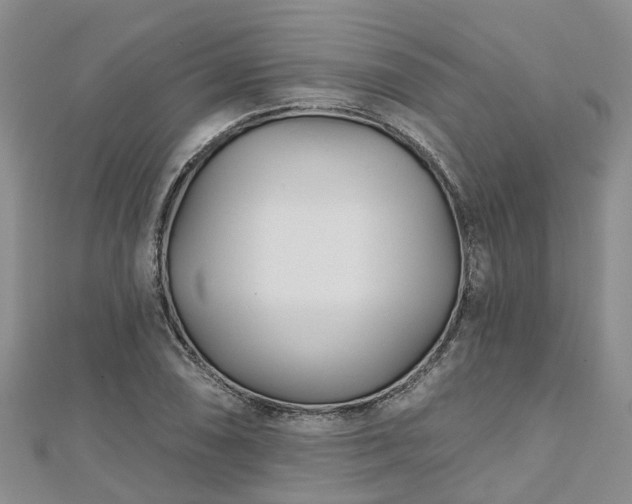 X0000112481074200908241249