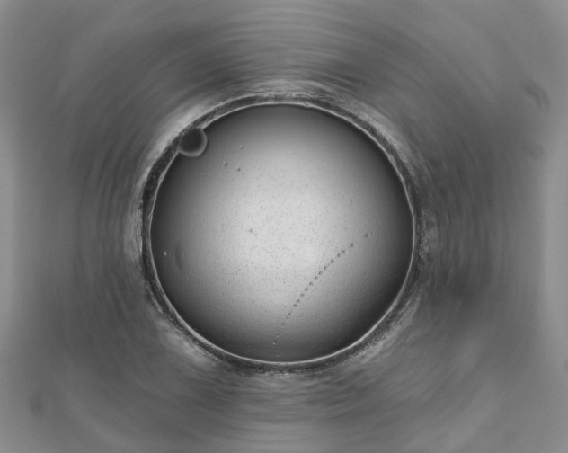 X0000112481075200908241249