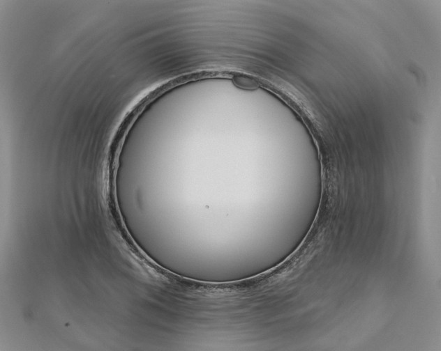 X0000112481076200908241249