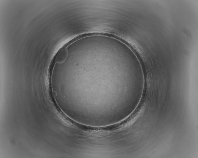 X0000112481077200908241249