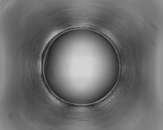 X0000112481079200908241249