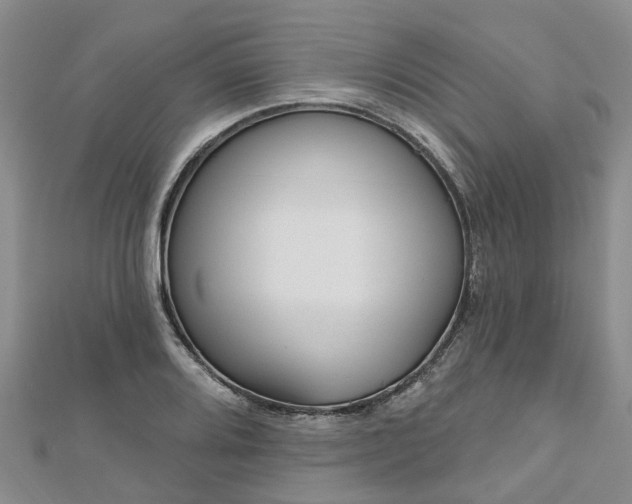 X0000112481080200908241249