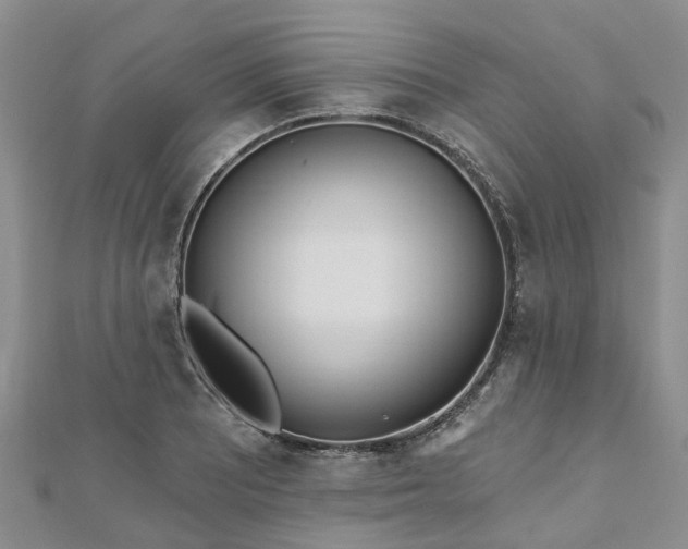 X0000112481081200908241249