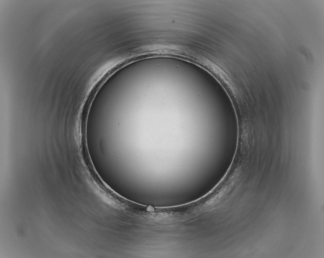 X0000112481082200908241249