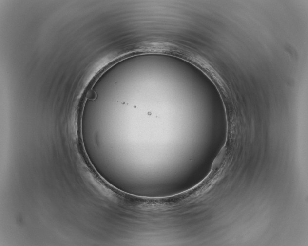 X0000112481083200908241249