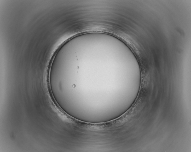 X0000112481086200908241249