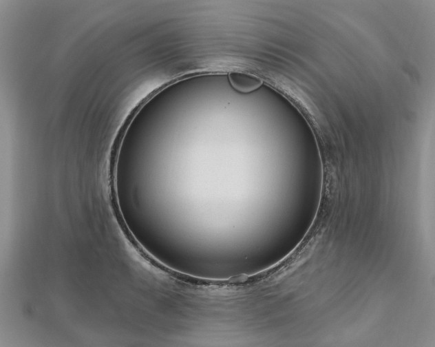 X0000112481087200908241249