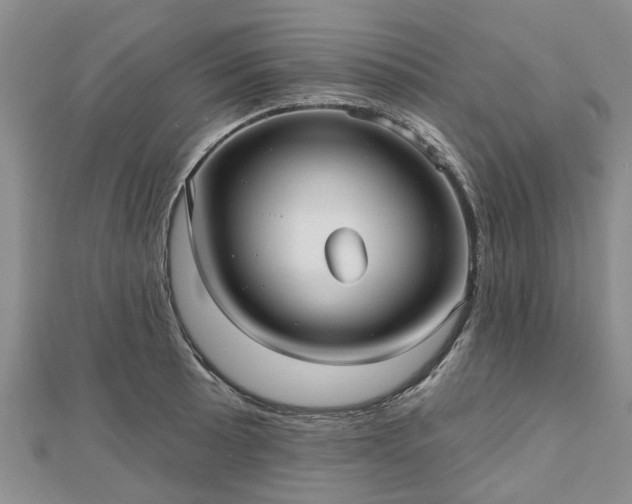 X0000112481089200908241249