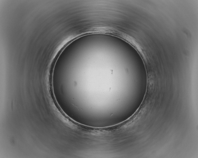X0000112481091200908241249