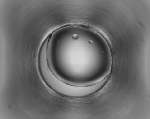 X0000112481093200908241249