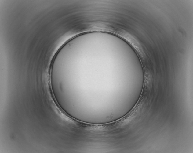 X0000112481094200908241249